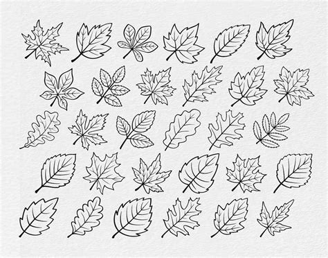 Fall Leaves SVG Cut Files for Cricut Fall Leaves SVG Printable Leaf ...