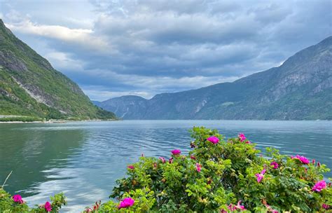 An Introduction to Eidfjord, Norway - Life in Norway