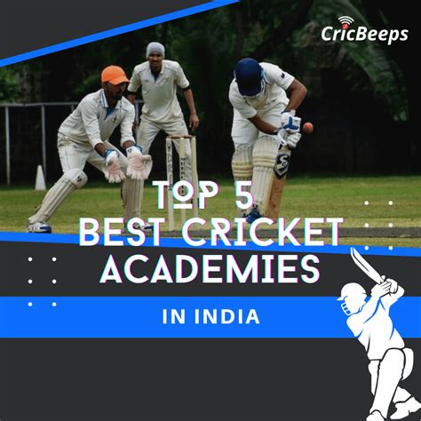 Best Cricket Academies in India - CricBeeps