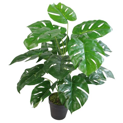 Artificial Monstera Plant - Leaf Artificial Plants Artificial Plant ...