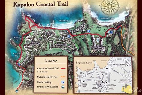 Napili Bay Resort Condos - 18 Condo Rentals | Aloha Condos & Homes