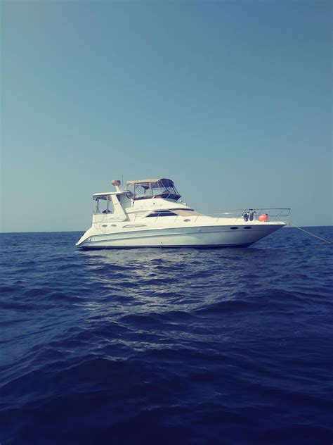 Sea Ray boats for sale - boats.com