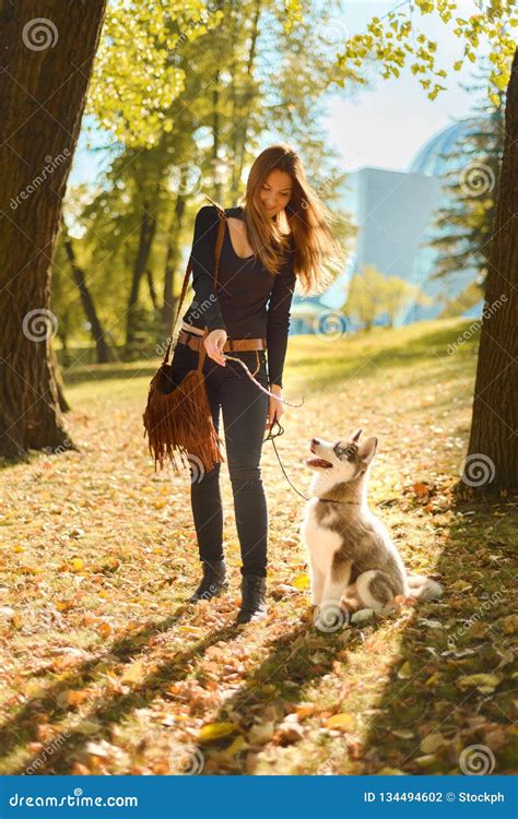 Young Girl is Training Red Puppy of Husky Stock Photo - Image of ...