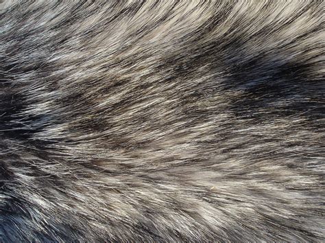 Fur Texture 16 by Fox-N-Wolf on DeviantArt