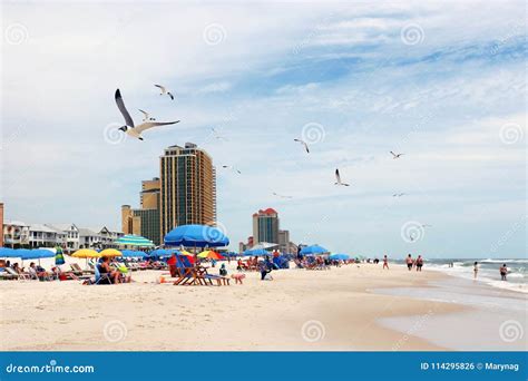 Alabama Gulf of Mexico Beach Life. Editorial Photo - Image of nature, gulf: 114295826