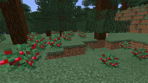 Minecraft: How to Find and Grow Sweet Berries | The Nerd Stash