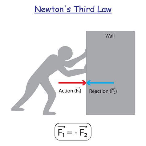 Newton's Third Law experiment. Statement, Examples, and Equation. Study content for physic ...