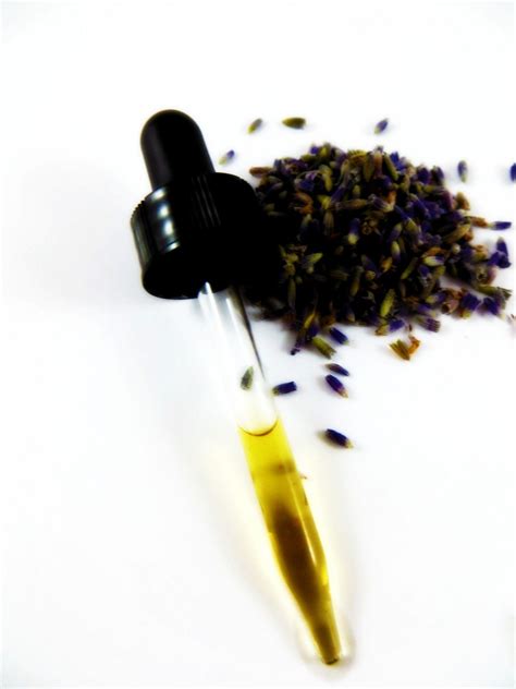 How to Make and Use Lavender Flower Extract | Frugally Sustainable