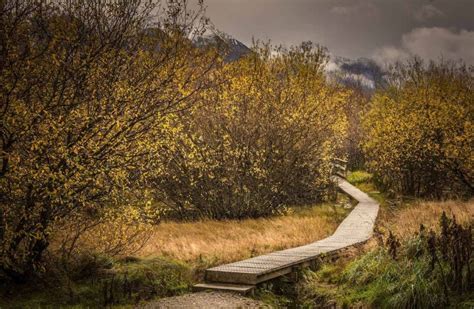 Glenorchy Lagoon 1-2hr walk - Kinloch Wilderness Retreat