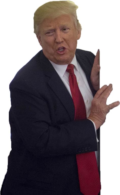 Donald Trump Transparent Background Png