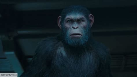 Kingdom of the Planet of the Apes release date, cast, plot, and more | The Digital Fix