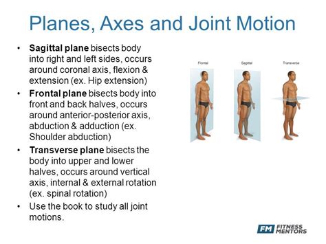 Planes & Axes of motion Human Body Anatomy, Human Anatomy And Physiology, Sagittal Plane, Sports ...