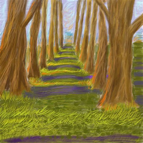 Grove Of Trees Digital Art by David Michael Schmidt - Pixels