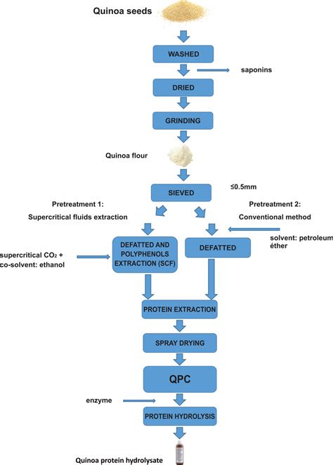 Quinoa protein hydrolysate process | Download Scientific Diagram