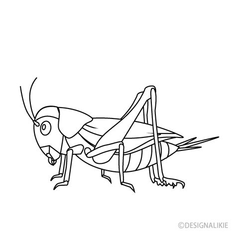 Cricket Black and White Free PNG Image｜Illustoon