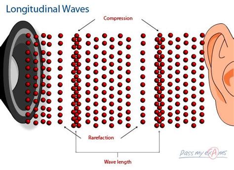 This is an example of longitudinal waves and how it is presented with ...