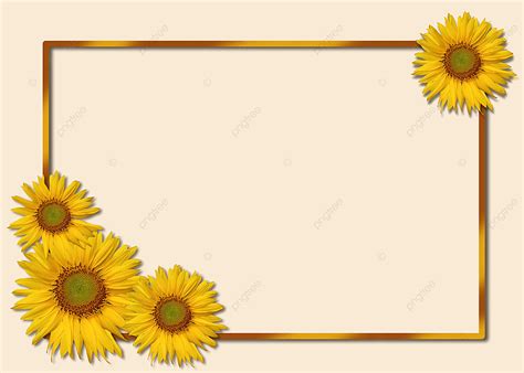 Sunflower Border Wallpaper