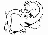 Elephant Coloring Pages sketch template