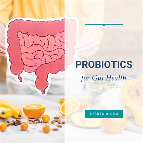 Probiotics for Gut Health - Dr. Michael Ruscio, DC