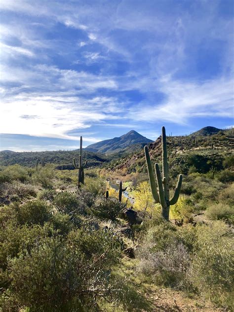 Cave Creek, near the town of Cave Creek Arizona. : r/desertporn