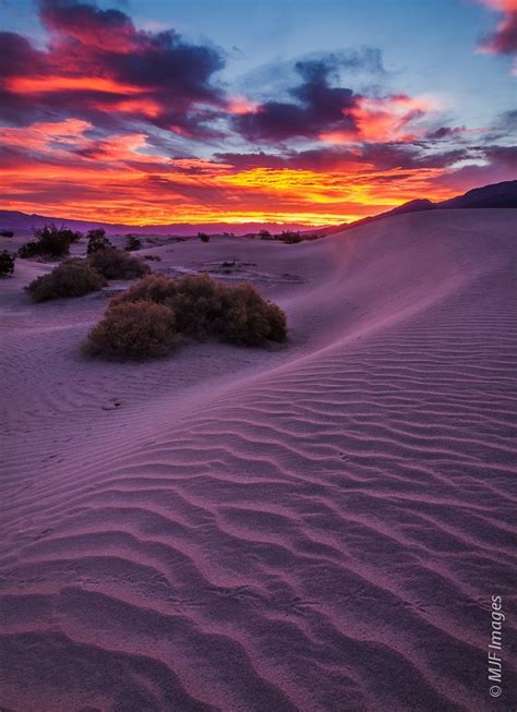 Dune Sunrise I | Death valley national park, National parks, Sunrise