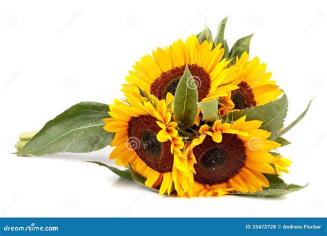 Bouquet Of Sunflowers Royalty Free Stock Photos - Image: 33473728