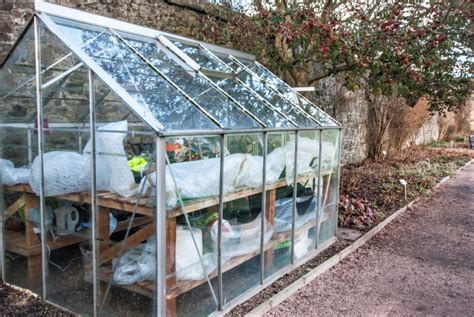 Greenhouse Structure Types Pros & Cons • Greenhouse Fanatics