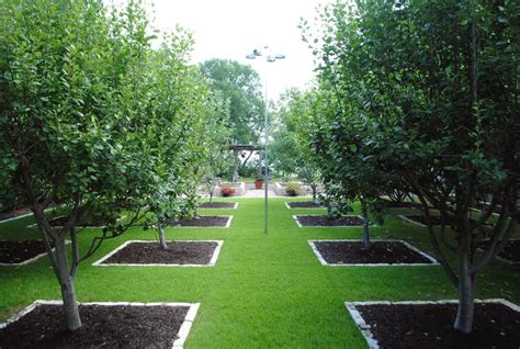 Orchard and Vegetable Garden - Gardenista | Tree garden design, Orchard garden, Fruit tree garden