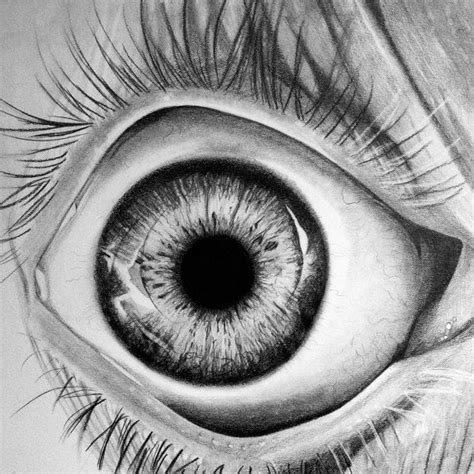 Items similar to Wide Eye Drawing on Etsy