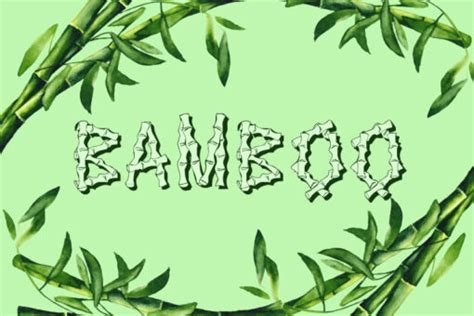 20+ Best Bamboo Fonts (FREE / Premium) 2024 | Hyperpix