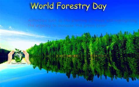 International Day of Forests - Save Our Green