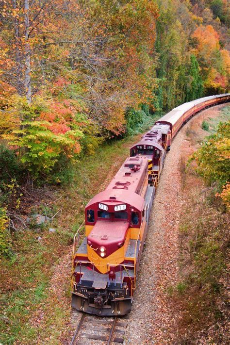 Great Smoky Mountain's train ride | Train, Train rides, Train travel