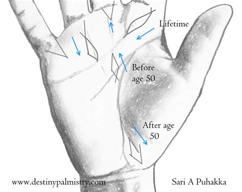 Fish Sign on the Palm Indian Palmistry in 2020 | Indian palmistry ...