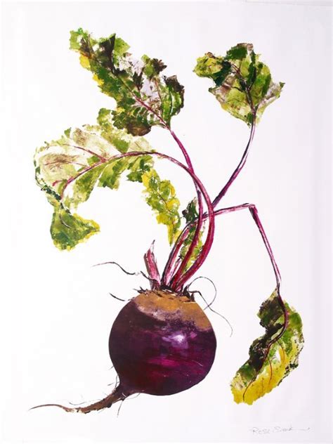 beetroot - Google zoeken | Botanical art, Watercolor flowers, Print artist