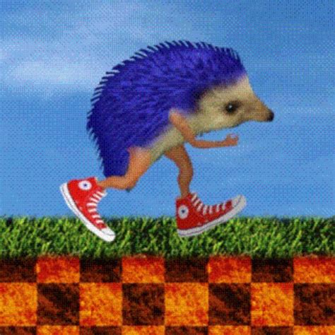 Hedgehog Sonic GIF - Hedgehog Sonic Sanik - Discover & Share GIFs