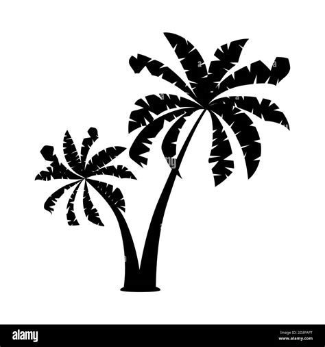 Black palm tree with leaves silhouette isolated on white background ...