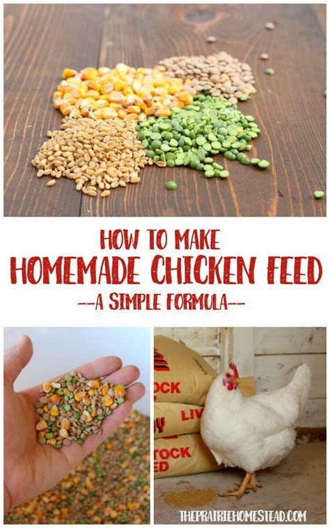 Homemade Chicken Feed Recipe • The Prairie Homestead | Criadero de ...