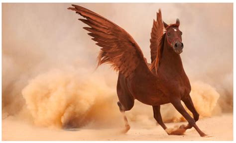 Photoshop montage tutorial: putting wings on a horse