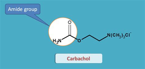 Directly acting cholinergic agents