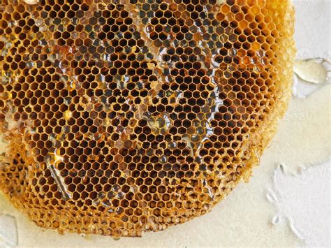 honeycomb with honey. 10126456 Stock Photo at Vecteezy