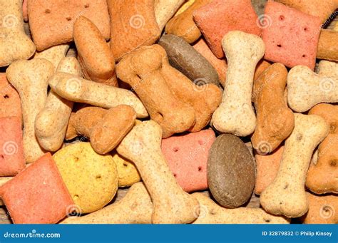 Dog Biscuits stock photo. Image of biscuits, nutrition - 32879832