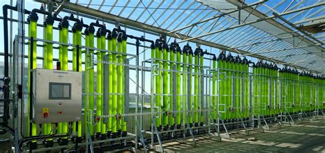 Using microalgae to convert food and farm waste into new sustainable products - Swansea University