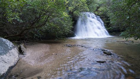 NCFS- Headwaters State Forest