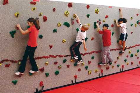 Standard Climbing Wall | Climbing wall kids, Climbing wall, Everlast