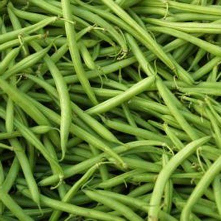 How to Plant Blue Lake Bush Green Beans | Home Guides | SF Gate