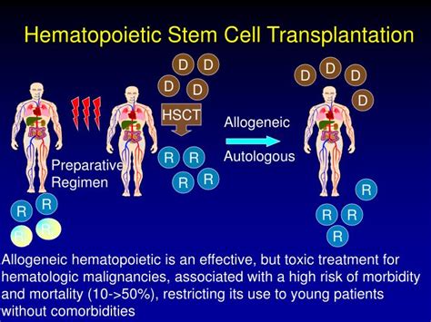 PPT - Overview of Hematopoietic Stem Cell Transplantation (HSCT) PowerPoint Presentation - ID ...