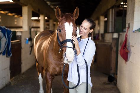 Sarcoids in Horses: Types, Causes, Prevention & Treatment | Mad Barn