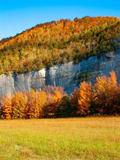 5 Incredible Spots for Fall Colors in Arkansas - Territory Supply