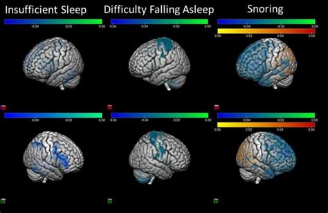 Inadequate Sleep Is Bad for Preteens’ Brains - Neuroscience News