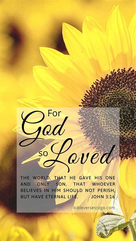 Sunflower John 3:16. Sunflower , iPhone bible, Bible verse HD phone wallpaper | Pxfuel